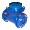 Water Meter Supplier in the Philippines