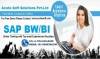 SAP BW/BI Online Training