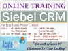 Siebel CRM TRAINING ONLINE