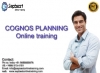 COGNOS/PLANNING ONLINE TRAINING | COGNOS/PLANNING Project Support | COGNOS/PLANNING Certification Training