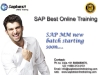 SAP MM Online Training India Hyderabad | SAP MM Project Support |SAP MM Training in India