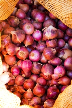 SALE VANILLA, COCOA, BLACK EYEBEAN OF MADAGASCAR