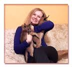 Cute babies Caracal kitten,Africa Serval kitten,Ocelot kitten For Sale