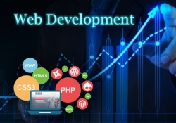 Best Website Development Company in Noida, Delhi, Gurgaon
