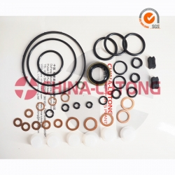 Diesel Fuel Engine Pump Parts Overhaul Kit 800637 For Auto Rebuild KitsRepair Kit For VE Parts And Injector Pump Parts