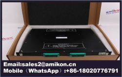 3500  44M Gas Turbine Vibration Monitoring Module 176449-03