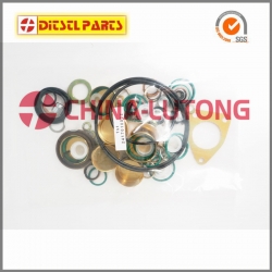 Injection Pum Repair Kit 241701022 2 417 010 022,OEM Number 2 417 010 021 800718