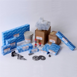 Diesel Injectors Nozzles Dlla138s364n409 Diesel injector nozzle 105015-4090 For Nissan