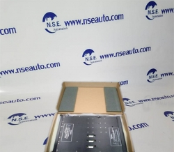 Triconex  4000056-002