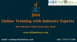 Java Online Training and Placement Assistance By H2kinfosys