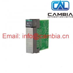 1785-L80E	Allen Bradley