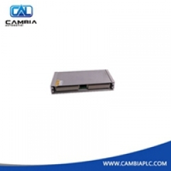 350025-02-04-00	BENTLY NEVADA