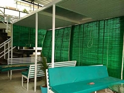 Green Balcony Bamboo Curtains in Ahmedabad