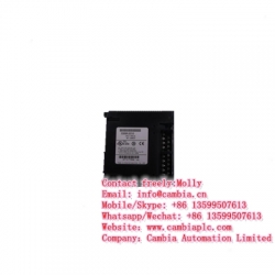 High quality	GE FANUC	IC695SPF010	Email:info@cambia.cn