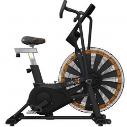 Schwinn Airdyne X