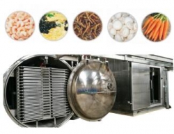 Industrial jack fruit lyophilization machine fruit vacuum freeze dryer 