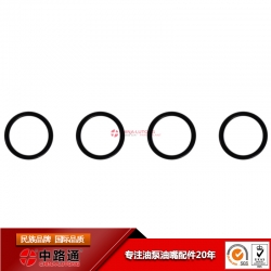 cav injector pump repair-denso diesel injection pump repair