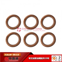 injector pump rebuild-cav injector pump repair