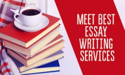 professional essay writing services