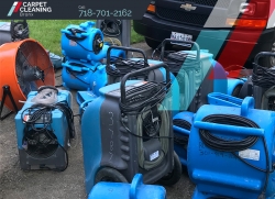 Mold remediation service in Bronx