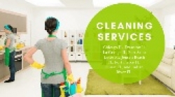 Quick Cleaning |  Carpet Cleaning In Chicago