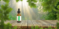 LOOKING FOR ESSENTIAL OILS WHOLESALERS IN THE USA
