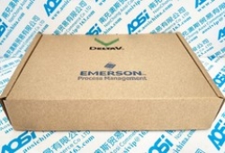 EMERSON DeltaV VE6043S6 