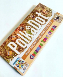 Mushrooms and Mushroom Chocolate Bars