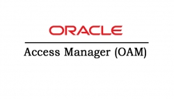 OAM Oracle Access Manager Online Training Course In Hyderabad