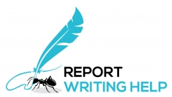 Report Writing Help