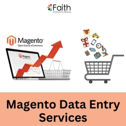 Accurate and Reliable Magento Data Entry Services