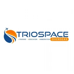 Study in Ireland Consultants