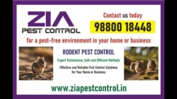Bangalore Rodent Control | Rodent treatment for Appartments | 5086