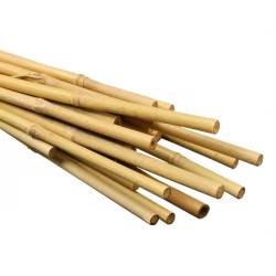 Bulk Bamboo Canes Supplier - Vantidebamboo.com