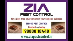 Bed Bugs Pest Treatment | Two services provided 100% result | 9047