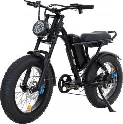 J1 1500W Peak Power Electric Bike for Adults