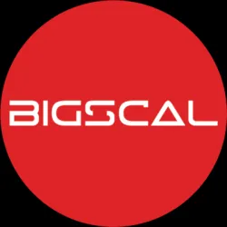 Bigscal The Ultimate Software Development Company
