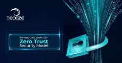 Cybersecurity Solutions by Teceze USA