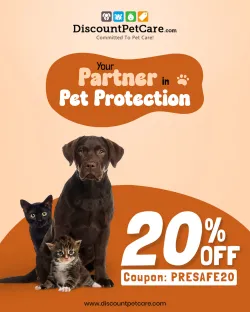 Buy Revolution for Cats Online – Flea  Parasite Protection at Best Price