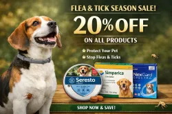 Buy Simparica for Dogs – Effective Flea  Tick Control | Monthly Protection
