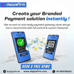 Business-Ready Online Payment Gateway Clone Script for Seamless Transactions