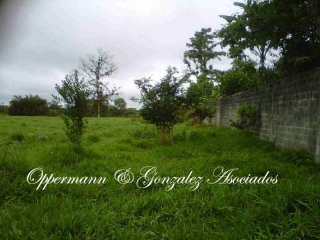 Land for sale in Santo Domingo via Chone