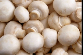 Mushroom india-Khao,Khilao and Health Banao