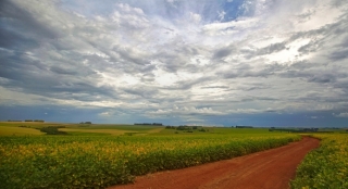 Farms And Land For Sale In Brazil, For Soybean  And Cattle